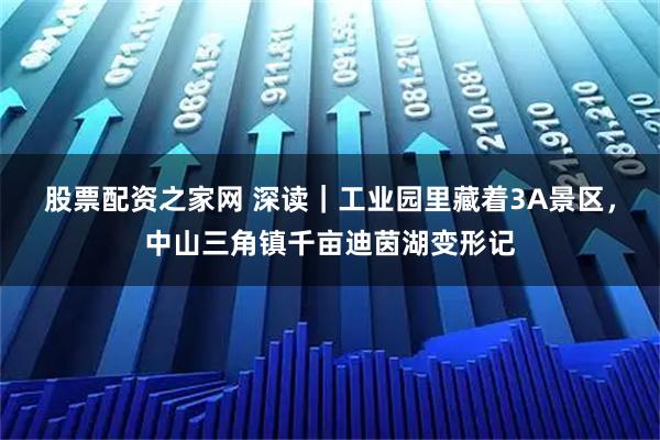 股票配资之家网 深读｜工业园里藏着3A景区，中山三角镇千亩迪茵湖变形记