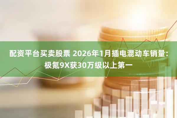 配资平台买卖股票 2026年1月插电混动车销量：极氪9X获30万级以上第一
