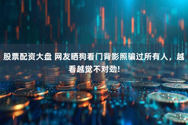 股票配资大盘 网友晒狗看门背影照骗过所有人，越看越觉不对劲!